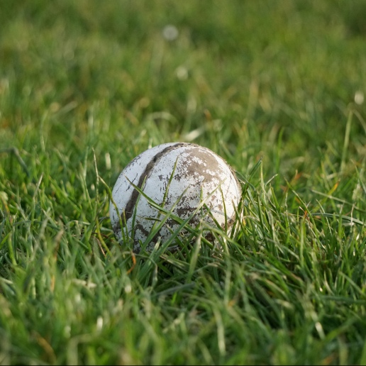 Well loved sliotar in the grass